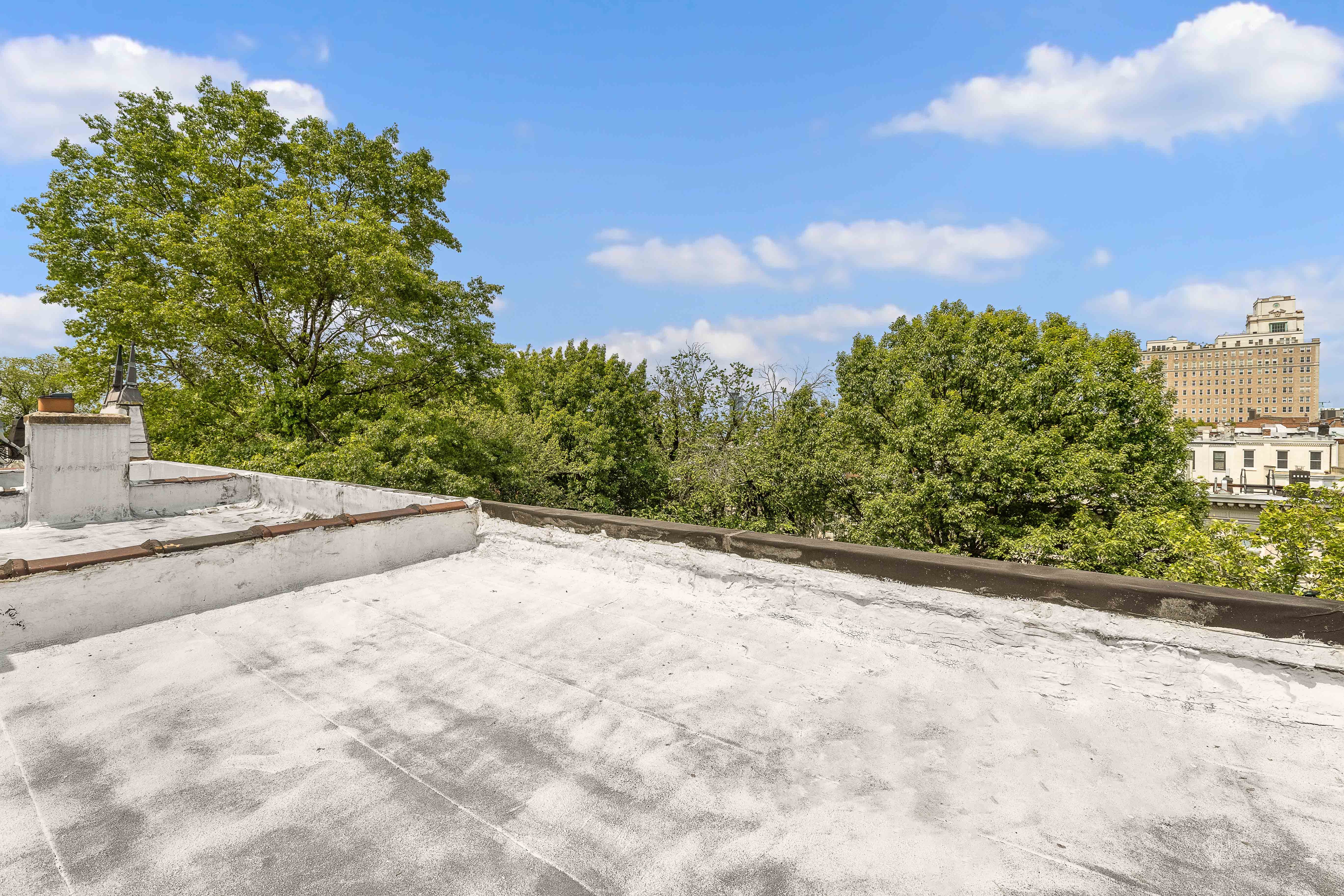 628 3rd Street Brooklyn, NY 11215 - Photo 15 of 38