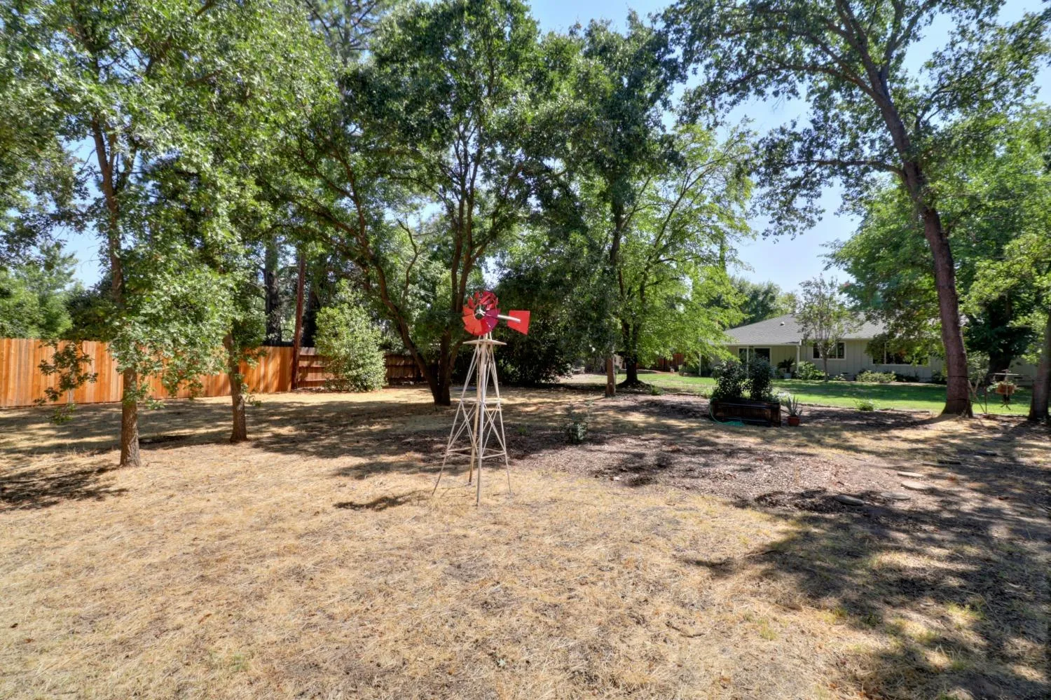 a view of a park with a tree