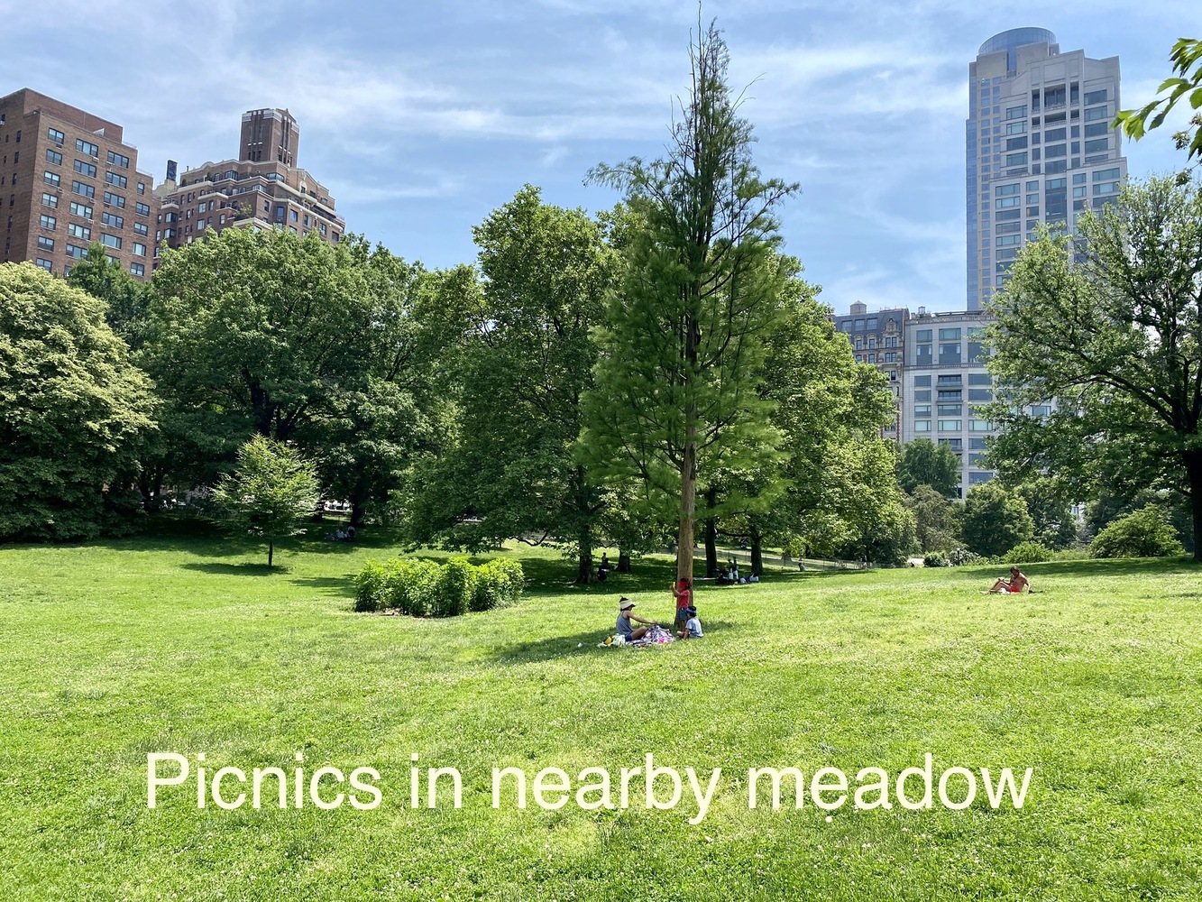 50 Riverside Drive, Unit 5E Manhattan, NY 10024 - Photo 18 of 22 a view of a park with a tree in the background