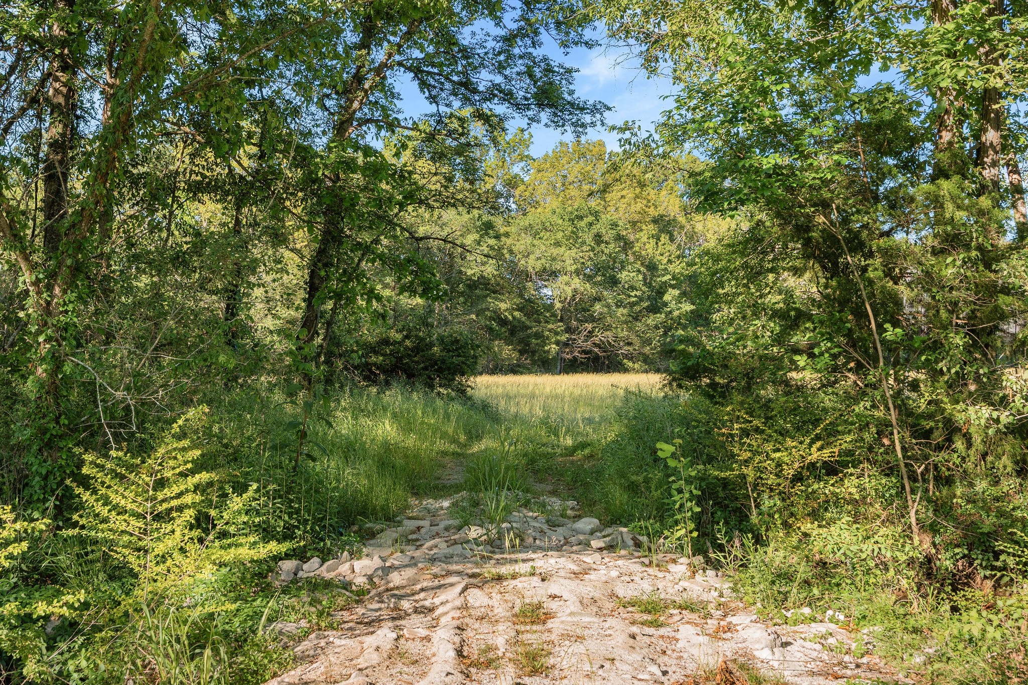 332 John Shaw Road Lewisburg, TN 37091 - Photo 73 of 79