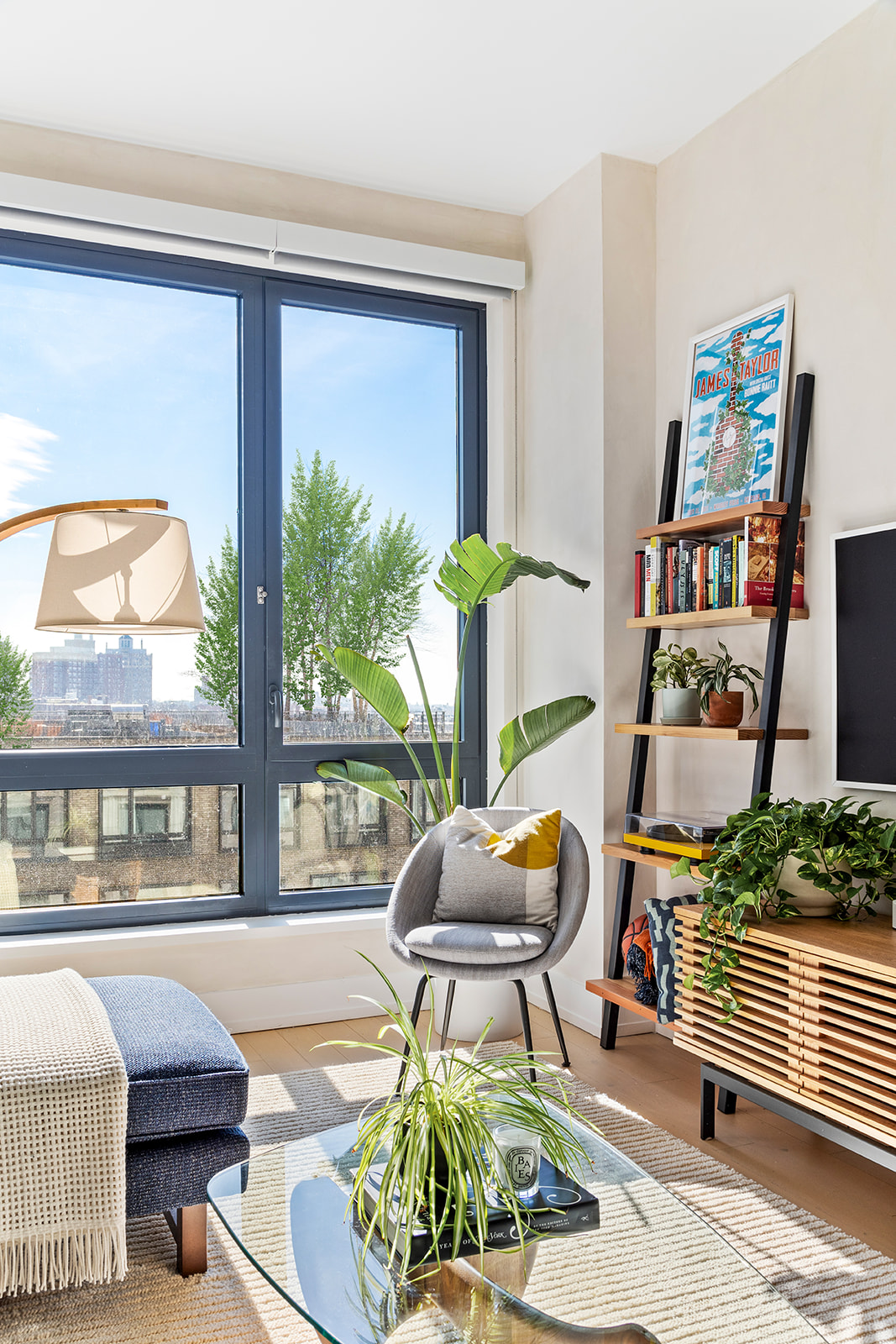 550 Vanderbilt Avenue, Unit 803 Brooklyn, NY 11238 - Photo 2 of 14 a living room filled with furniture and a potted plant