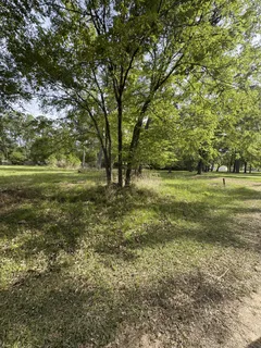 a view of outdoor space with trees all around