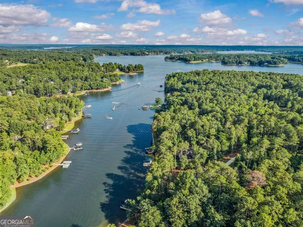 $3,895,000 | 1030 Scott Loop, Greensboro, GA 30642