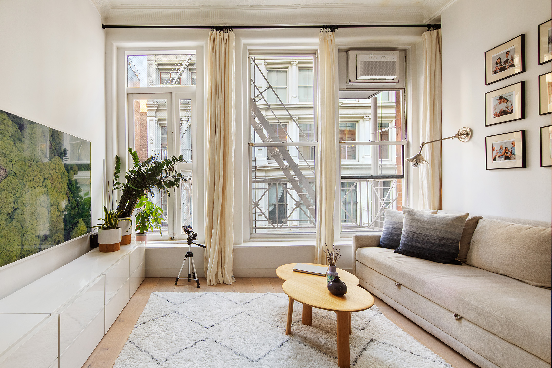 75 Grand Street, Unit 3E Manhattan, NY 10013 - Photo 12 of 20 a living room with furniture and a potted plant