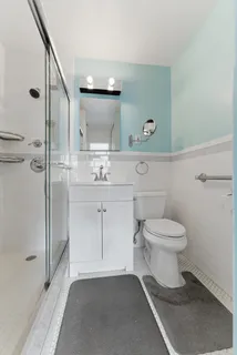 a view of a garden with trees