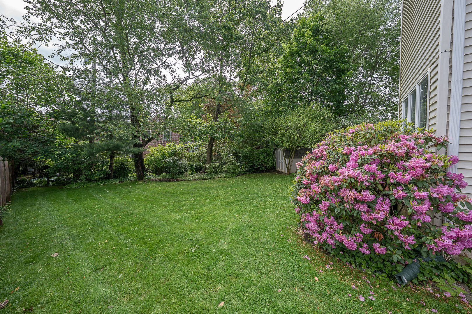 519 Mercer Road Merion Station, PA 19066 - Photo 55 of 58 a view of a garden with flowers and trees