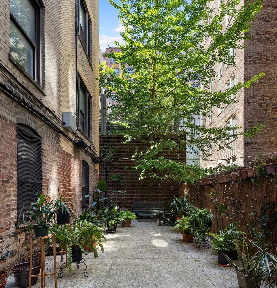 a view of a house with a plants and a tree