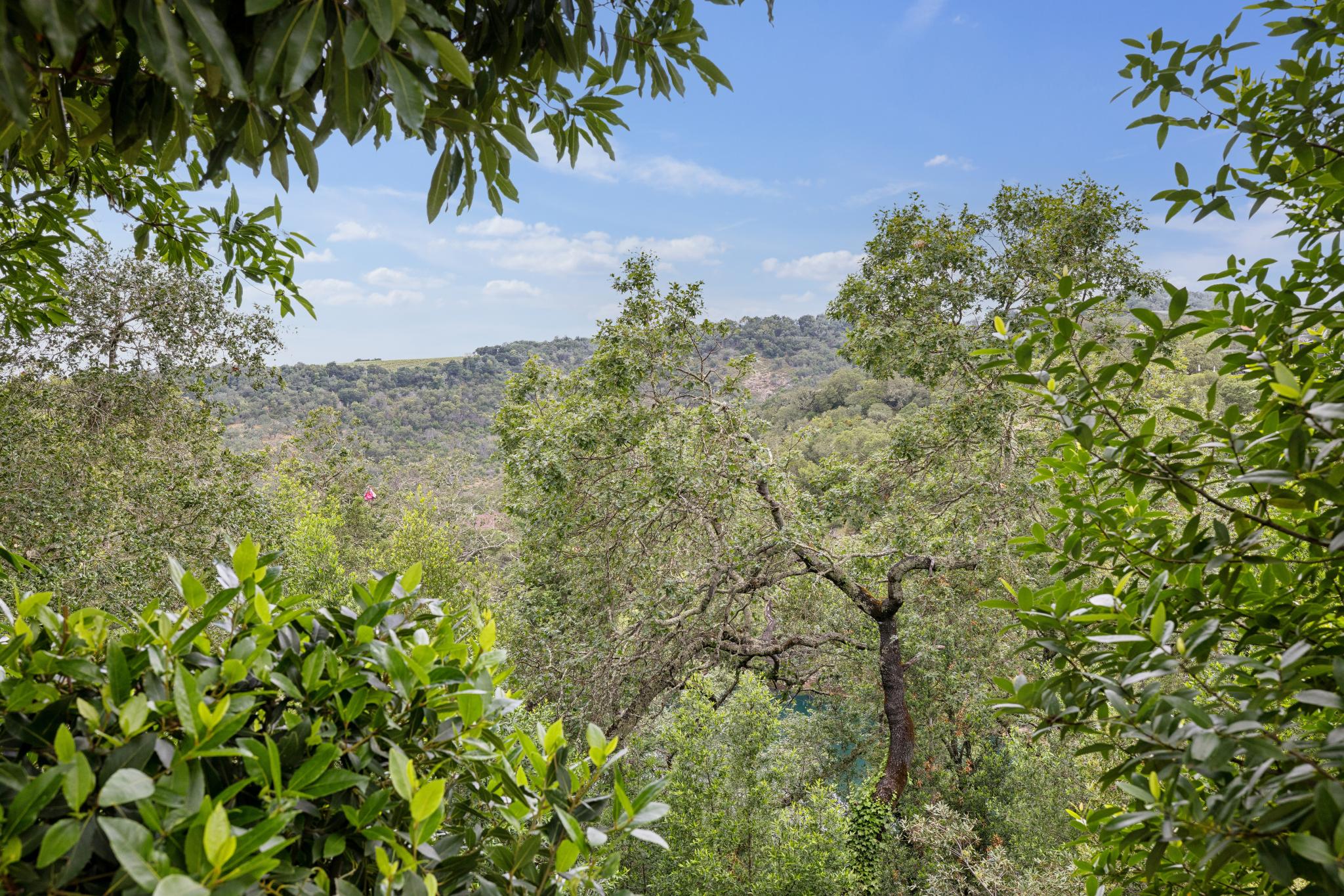 1593 Ridge Road Sonoma, CA 95476 - Photo 48 of 61