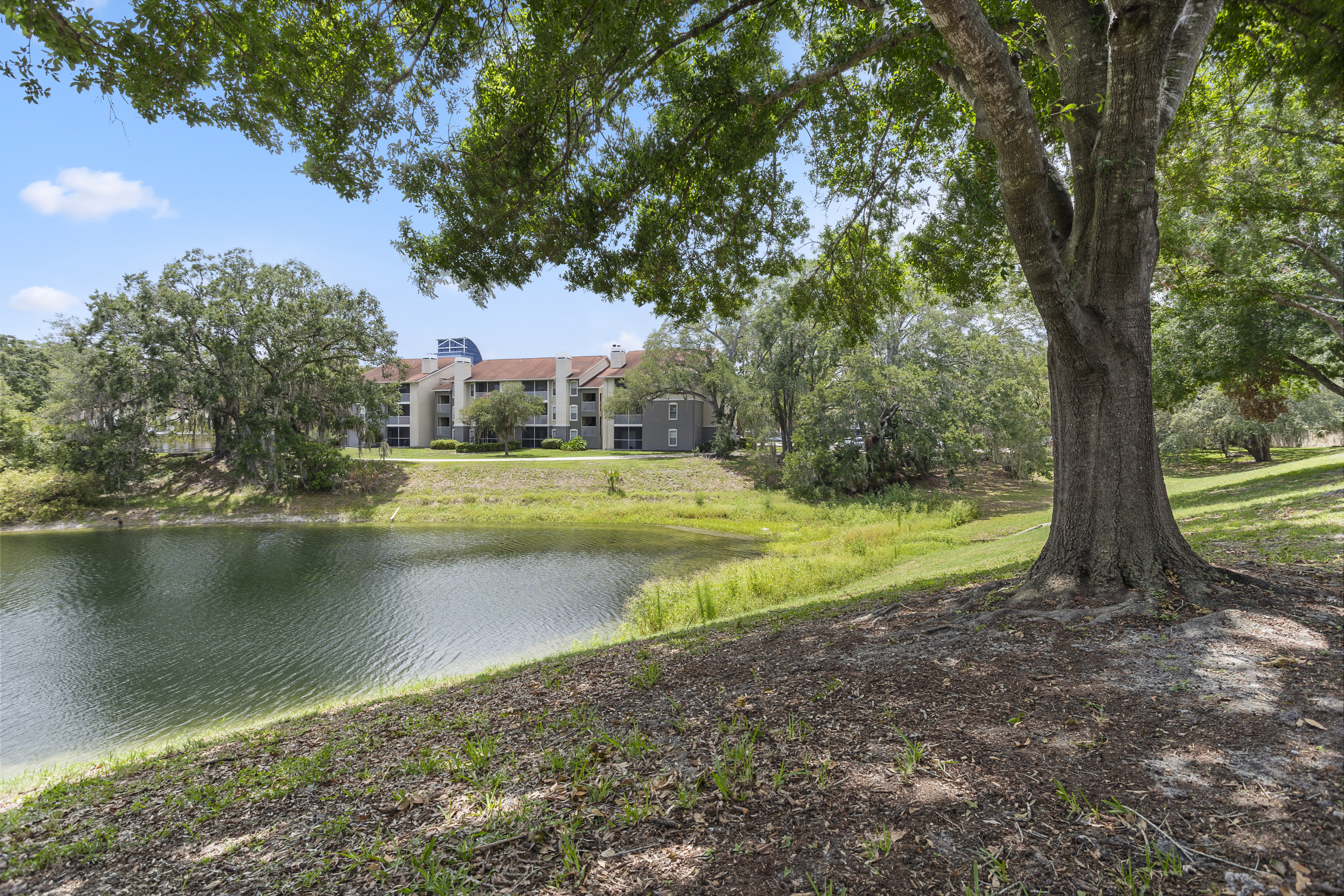 580 Cranes Way, Unit 152 Altamonte Springs, FL 32701 - Photo 37 of 41