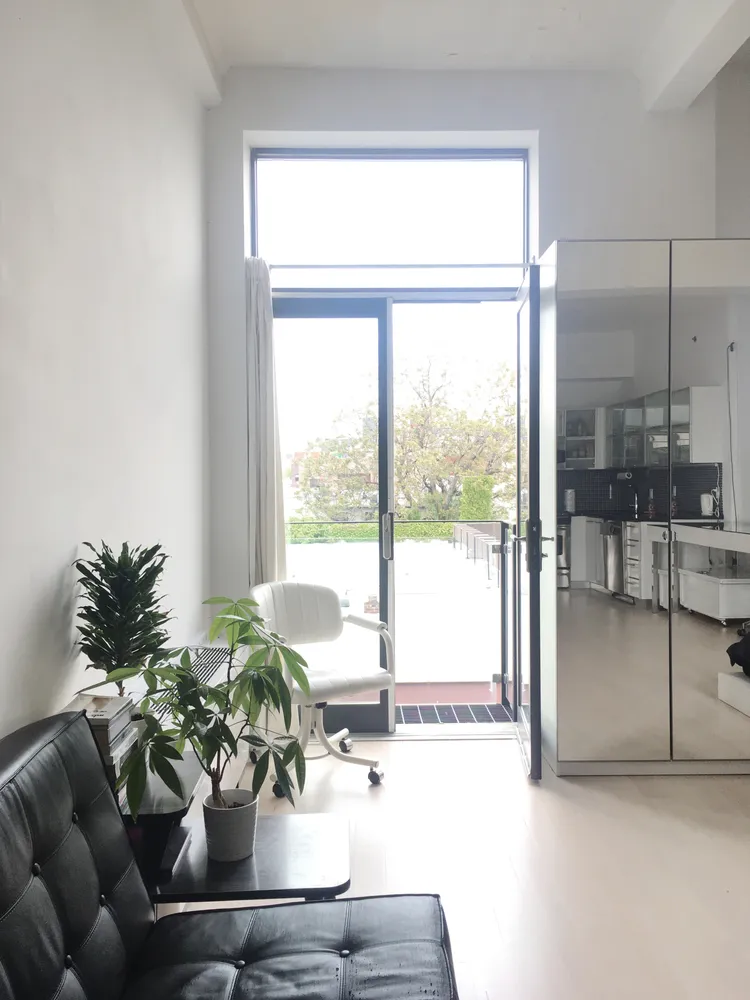 a dining room with furniture and a potted plant