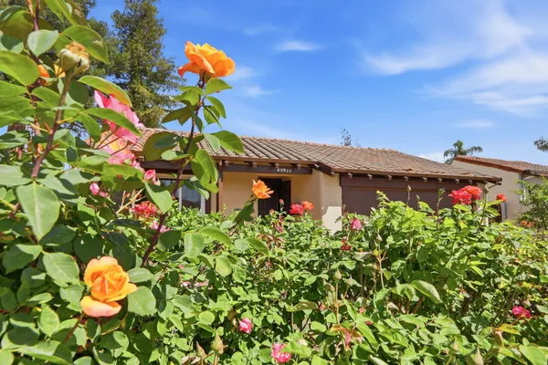 $1,428,000 | 40930 Rioja Court, Fremont, CA 94539