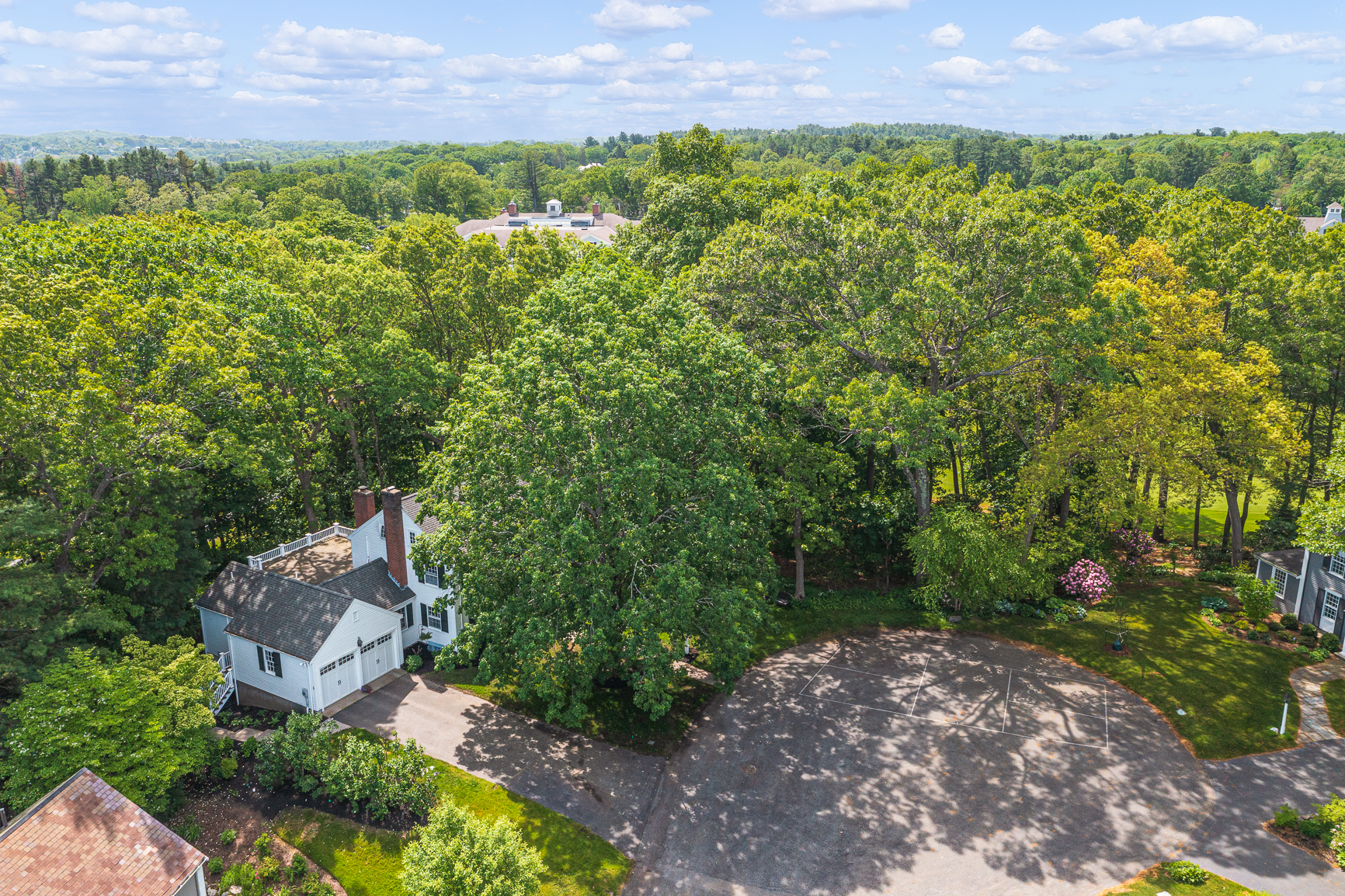 10 Lincoln Circle Wellesley, MA 02481 - Photo 55 of 61