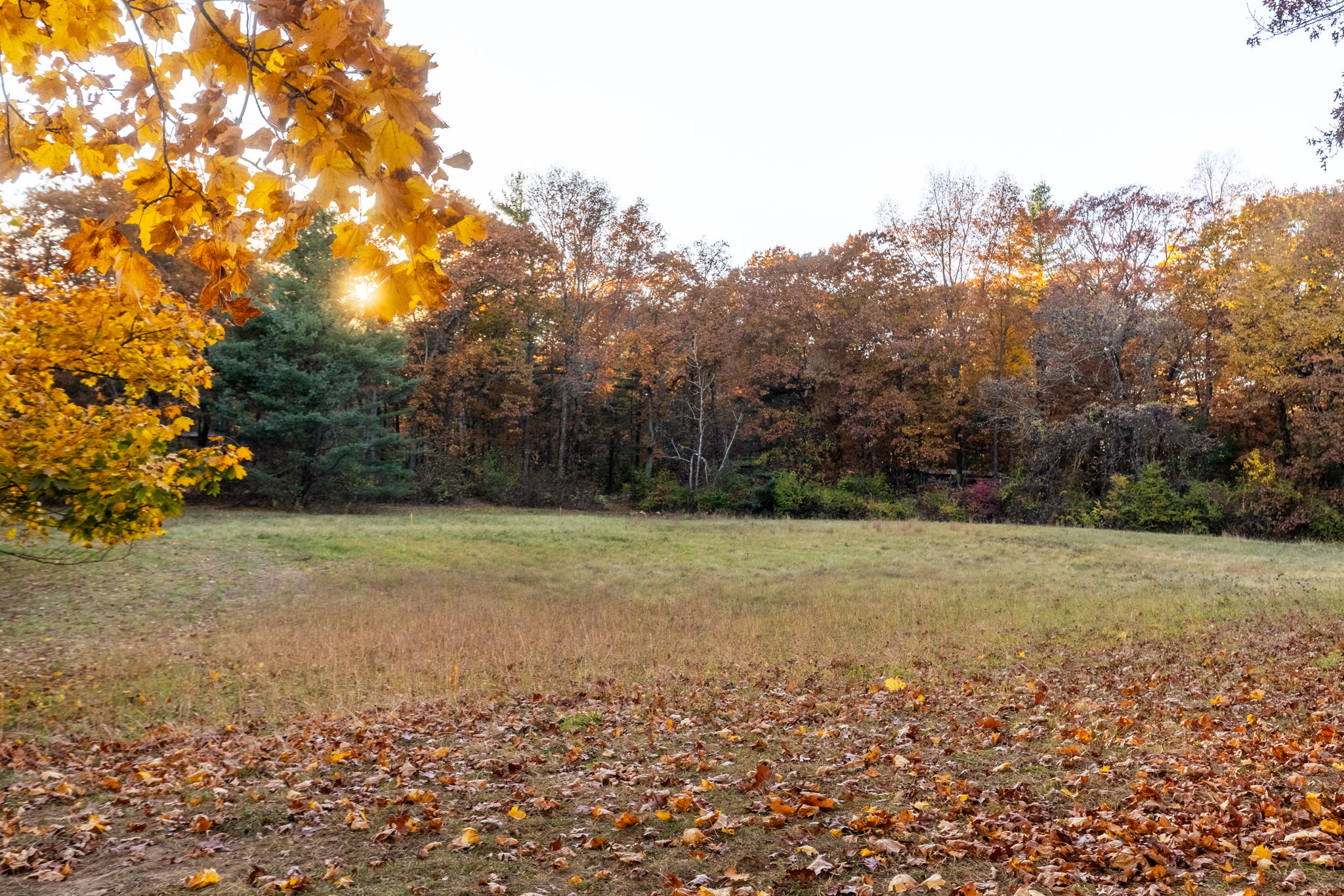 59 Conant Road Lincoln, MA 01773 - Photo 31 of 47 a view of a field with trees