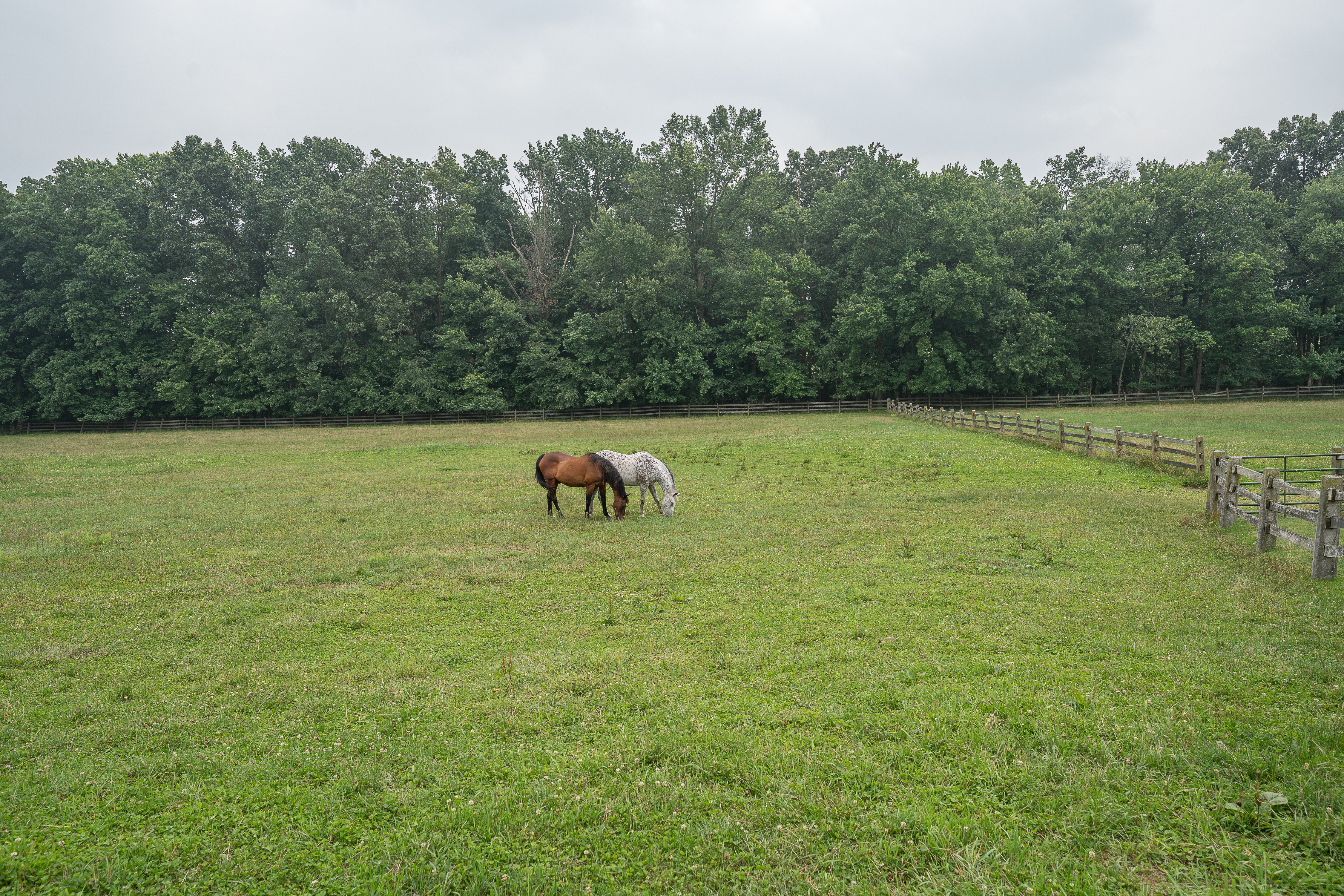 500 East Reeceville Road Downingtown, PA 19335 - Photo 109 of 135