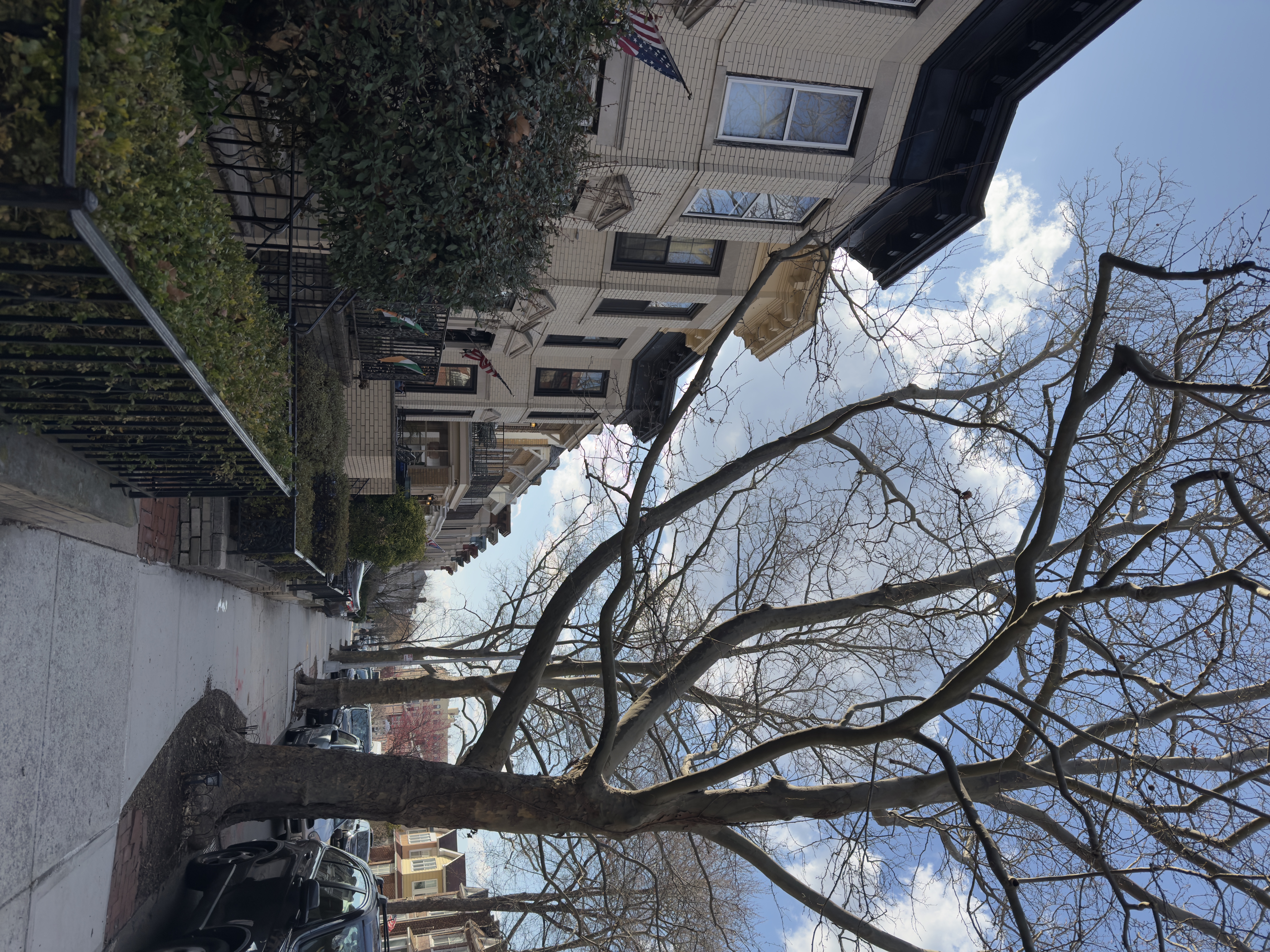 82 74th Street Brooklyn, NY 11209 - Photo 1 of 21 a view of a house with a tree