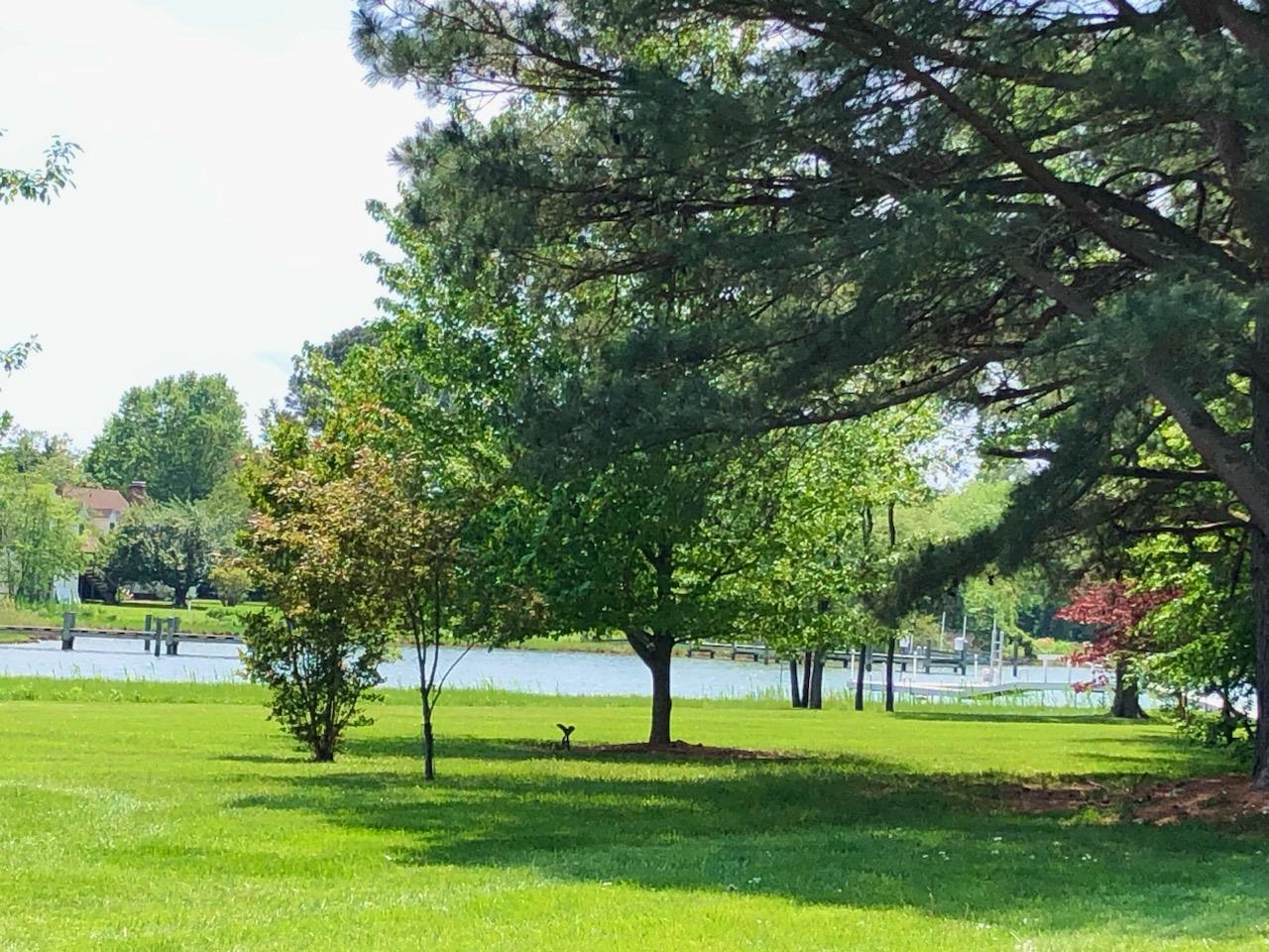 4595 Boone Creek Road Oxford, MD 21654 - Photo 14 of 15 a view of a big yard with a big tree