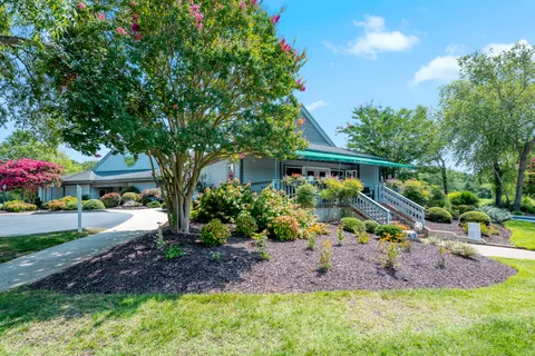 a view of a backyard with plants and a fountain