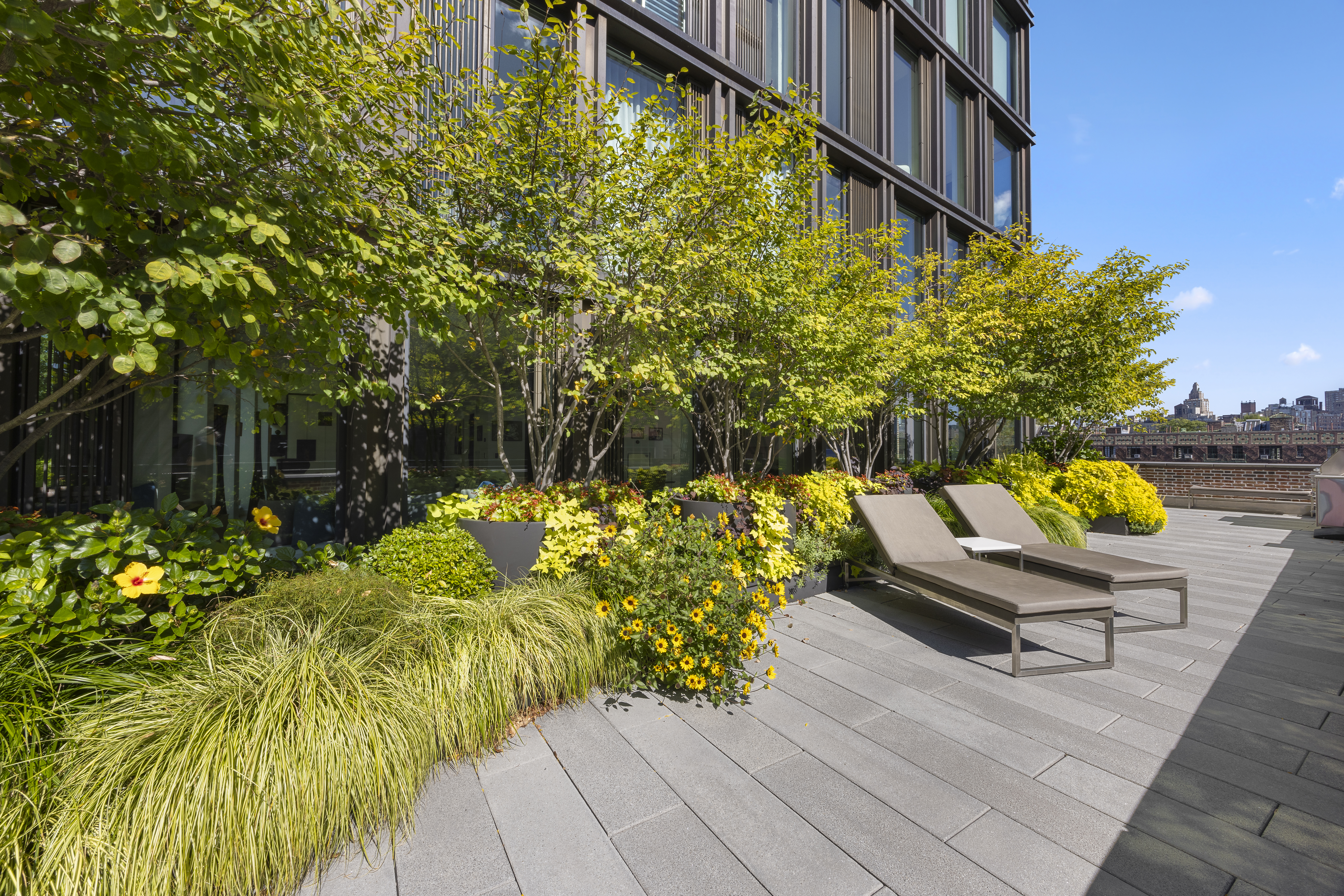 100 Barrow Street, Unit 7/8A Manhattan, NY 10014 - Photo 10 of 23 a view of swimming pool with a lounge chairs