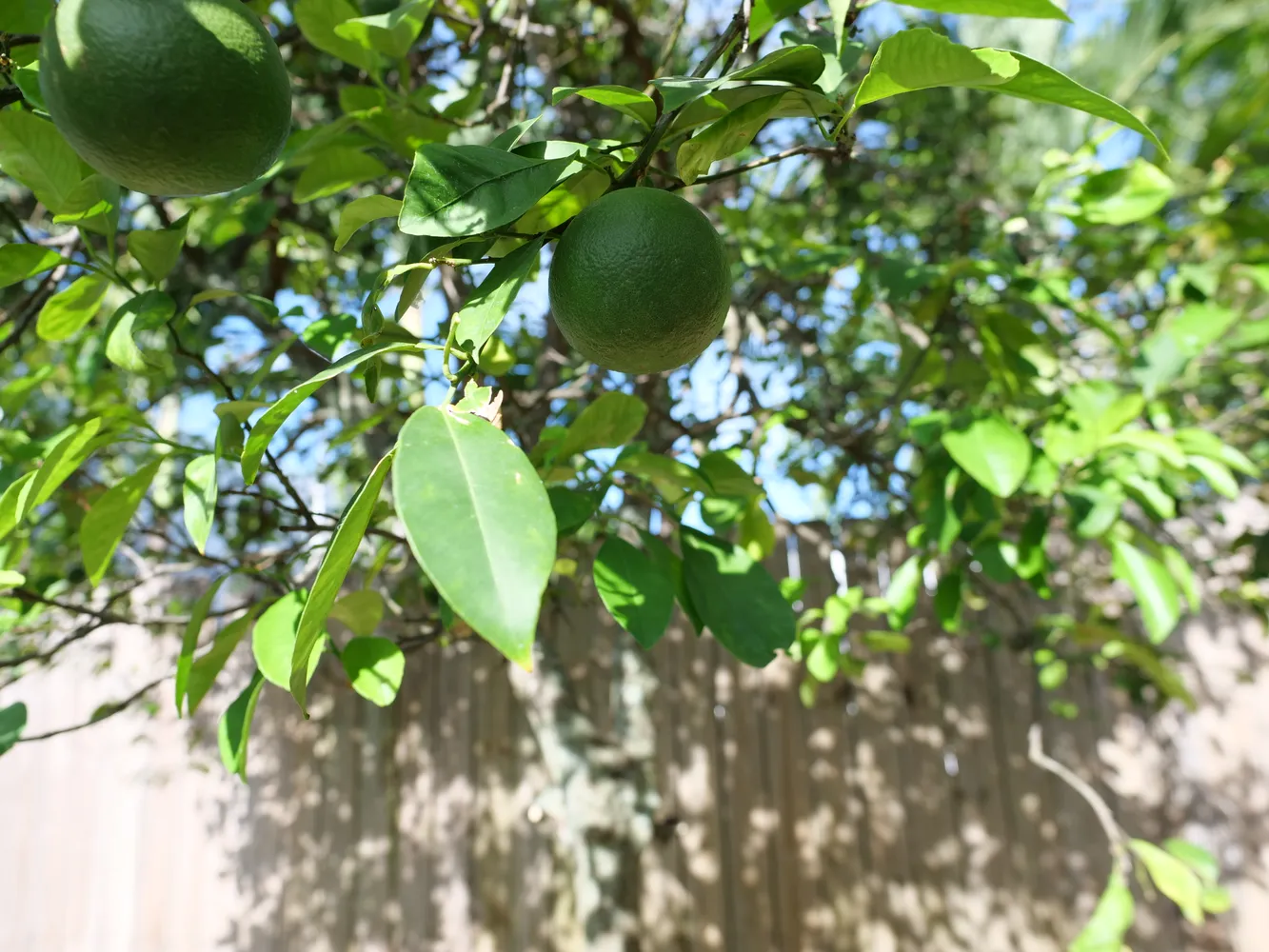 $1,350,000 | 142 Northwest 47th Terrace, Miami, FL 33127