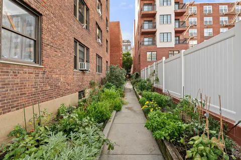 a view of a pathway both side of building