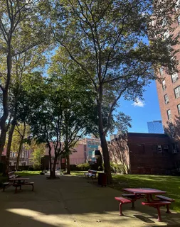 a view of road with trees