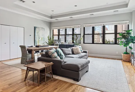 a living room with furniture and a potted plant