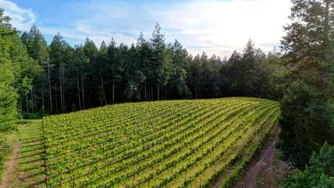 $4,900,000 | Address Upon Request, Angwin, CA 94508