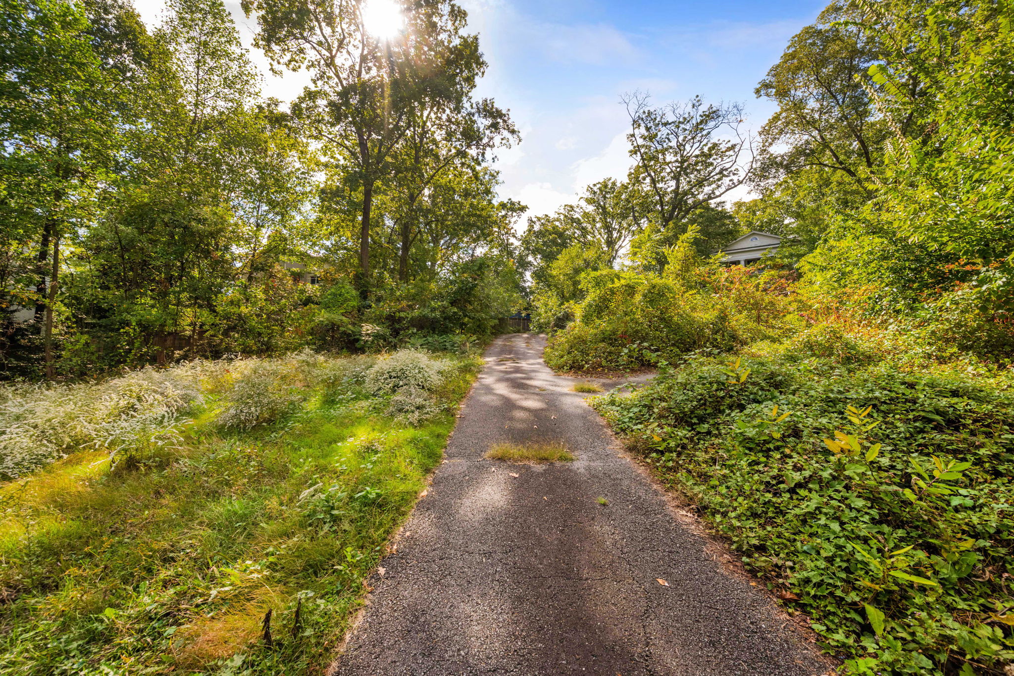 3104 Russell Road Alexandria, VA 22305 - Photo 36 of 62 a view of a pathway both side of yard
