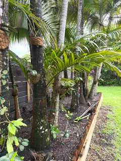 $1,490,000 | 14551 Southwest 24th Street, Davie, FL 33325
