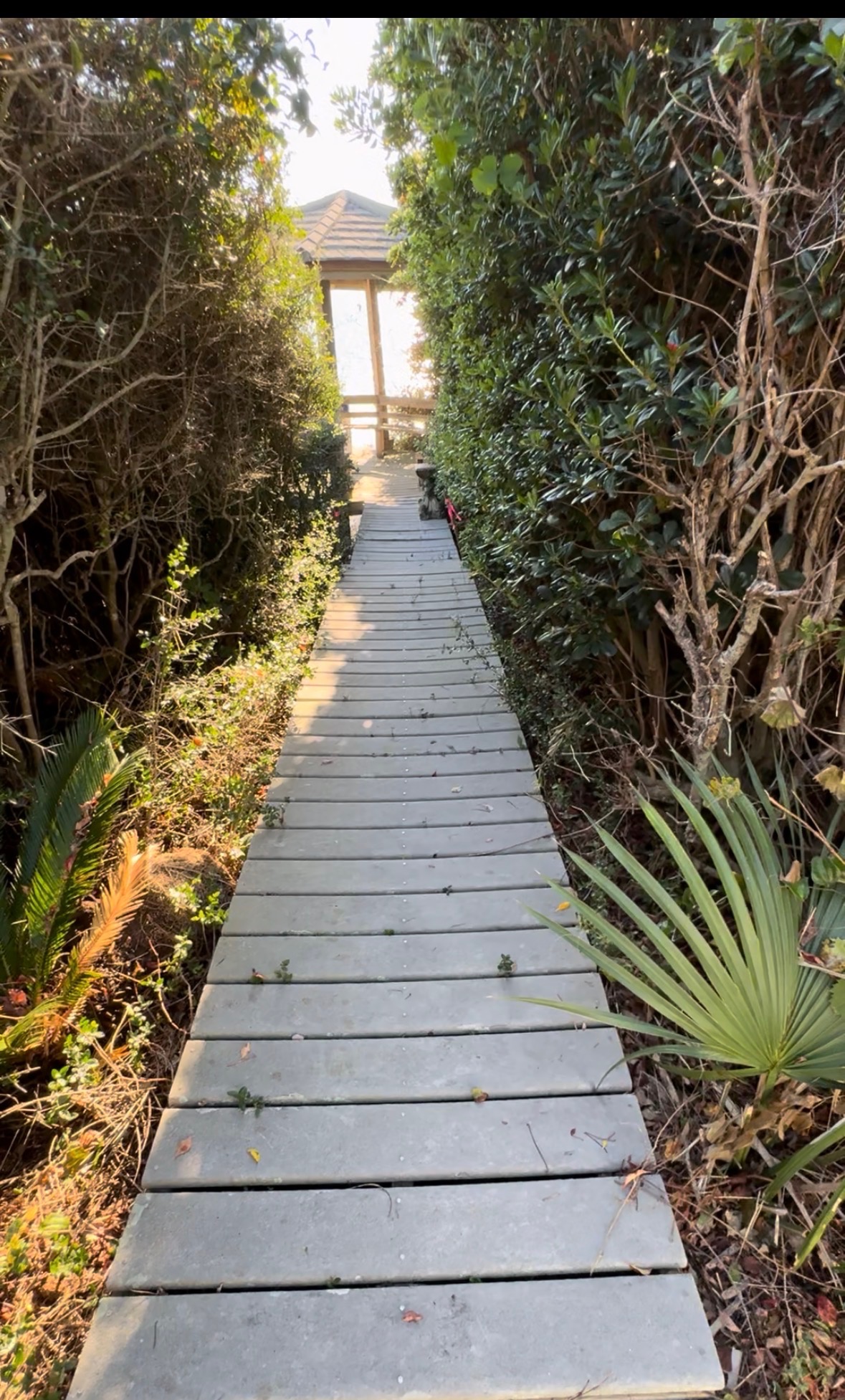 240 Montgomery Street Santa Rosa Beach, FL 32459 - Photo 6 of 7