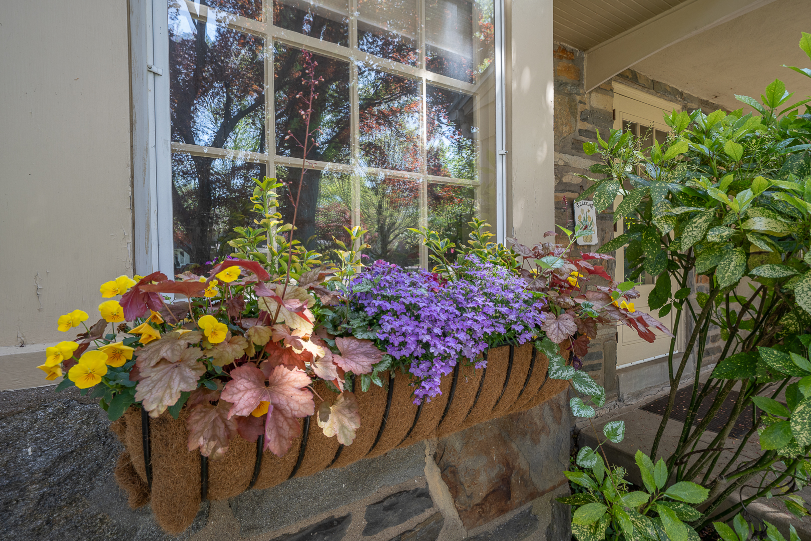 519 Mercer Road Merion Station, PA 19066 - Photo 9 of 58 a bunch of flowers and flowers in a glass door