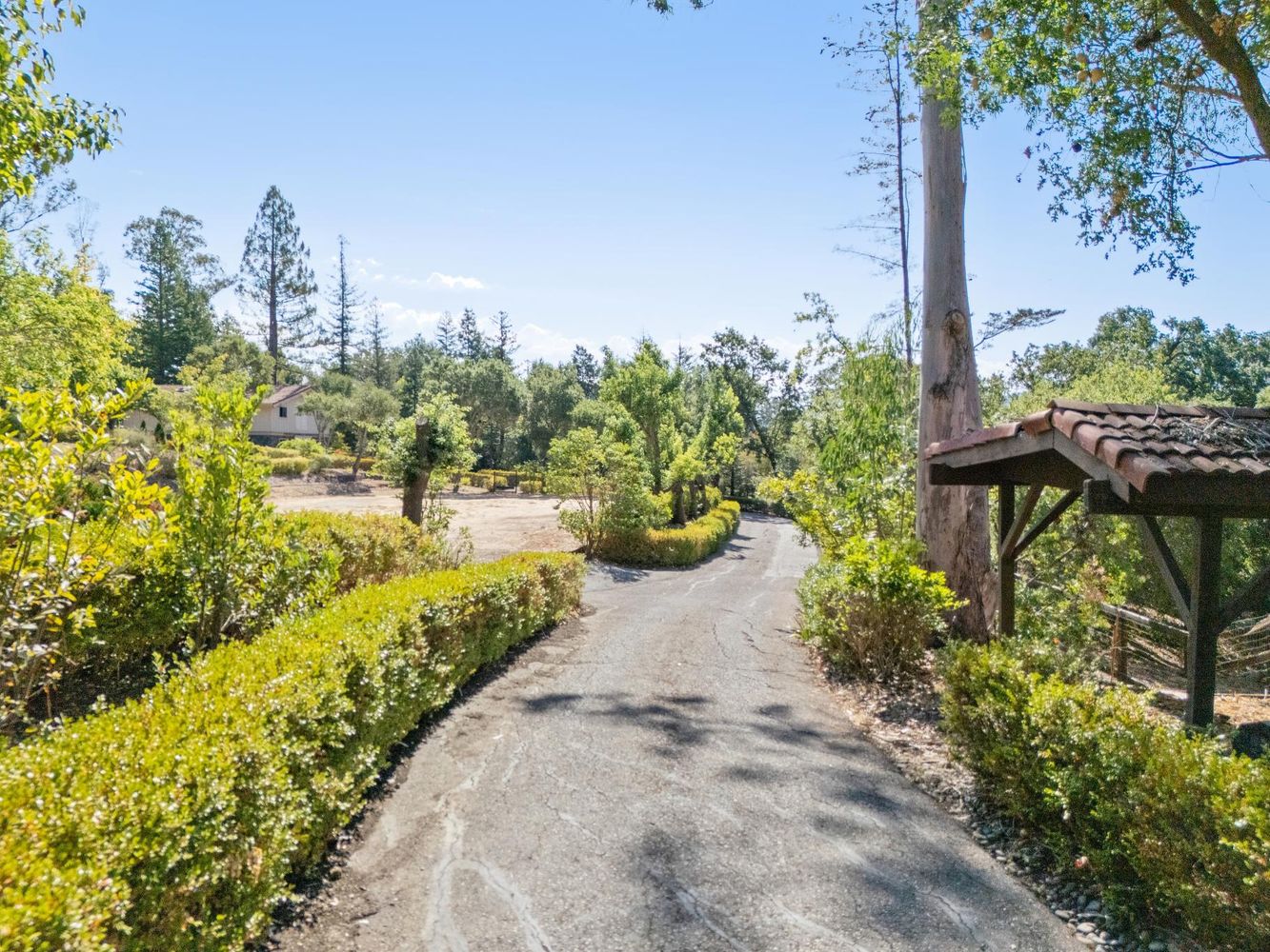 a view of a pathway with of flower in front of main door