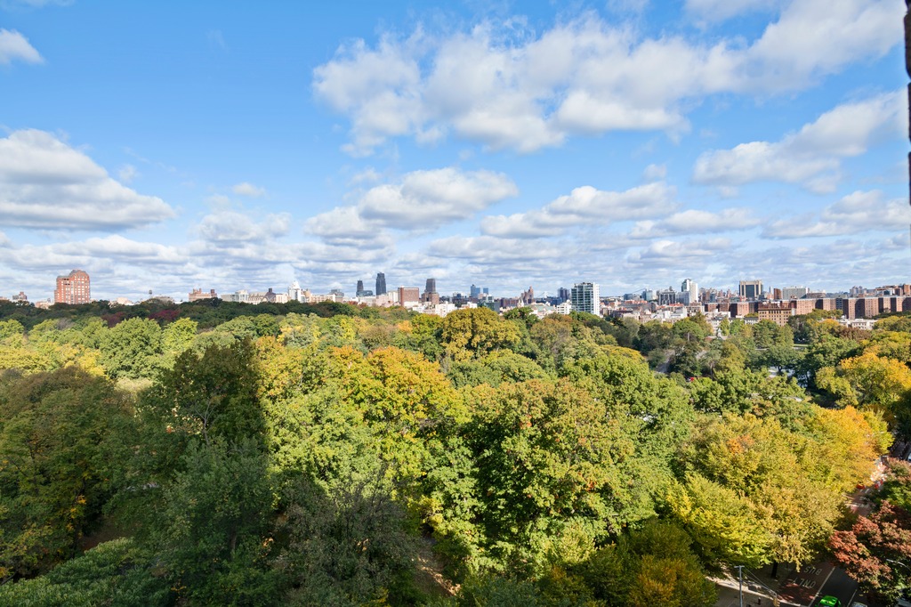 1215 5th Avenue, Unit 12B/11A Manhattan, NY 10029 - Photo 9 of 23