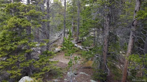 $65,000 | 0 Brook Drive, Idaho Springs, CO 80452