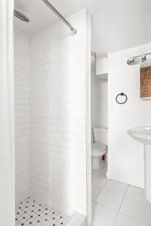 a bathroom with a shower and a toilet
