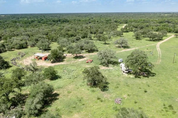 an aerial view of houses covered in trees