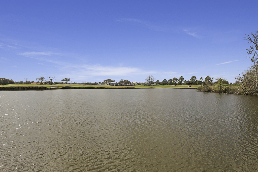 15112 Collegiate Court Baton Rouge, LA 70810 - Photo 54 of 56