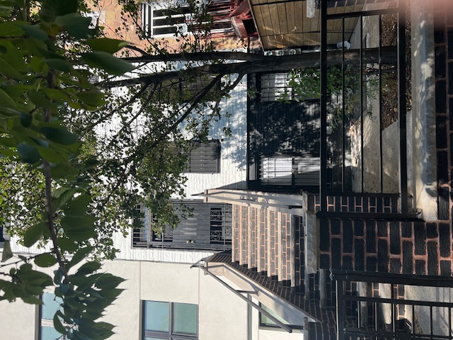1393 Herkimer Street, Unit 2 Brooklyn, NY 11233 - Photo 9 of 9 a view of a yard with plants