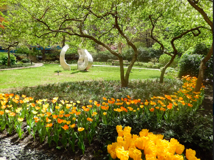 200 East 66th Street, Unit C704 Manhattan, NY 10065 - Photo 19 of 23 a view of a garden with a fountain