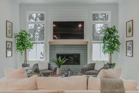 a living room with furniture a potted plant and a fireplace