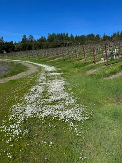 $1,795,000 | 31920 Pine Mountain Road, Cloverdale, CA 95425