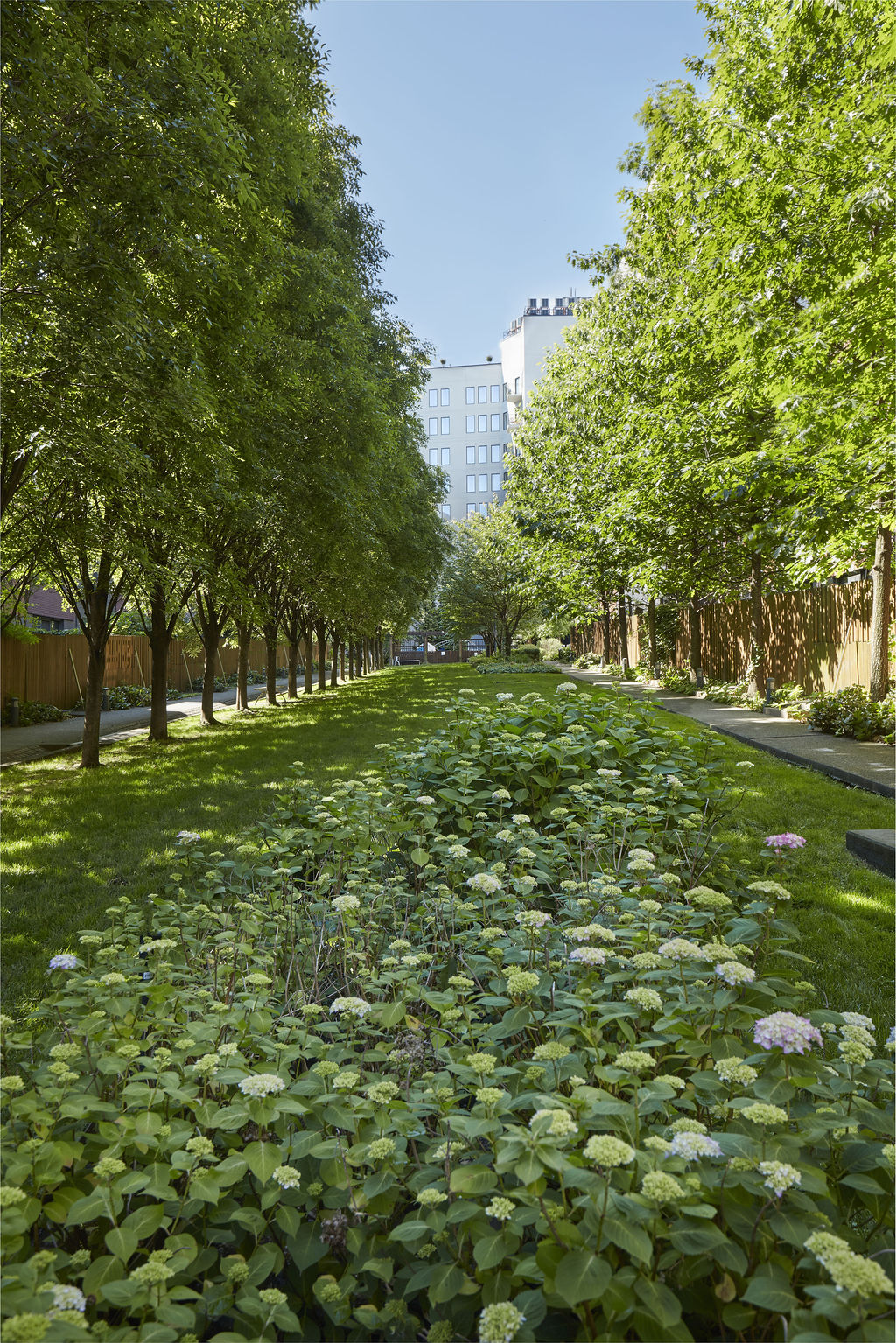 27 Clermont Avenue Brooklyn, NY 11205 - Photo 5 of 19