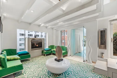 a living room with furniture a fireplace and a potted plant