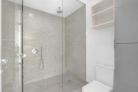 a bathroom with a shower and toilet