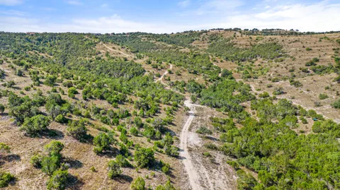 a view of a big yard with lots of bushes