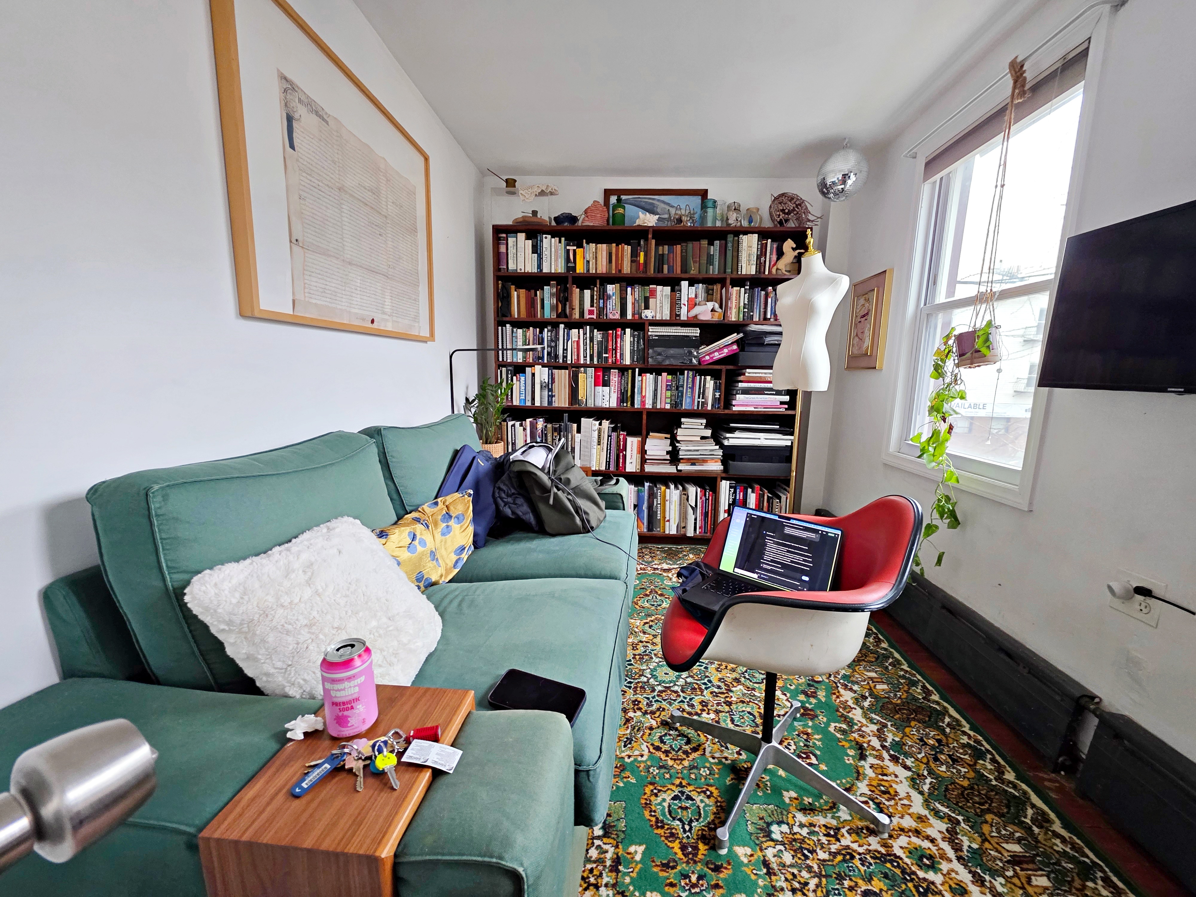 214 Devoe Street, Unit 2 Brooklyn, NY 11211 - Photo 6 of 8 a living room with furniture a rug and a book shelf