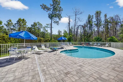 a view of a swimming pool with a patio and a fire pit