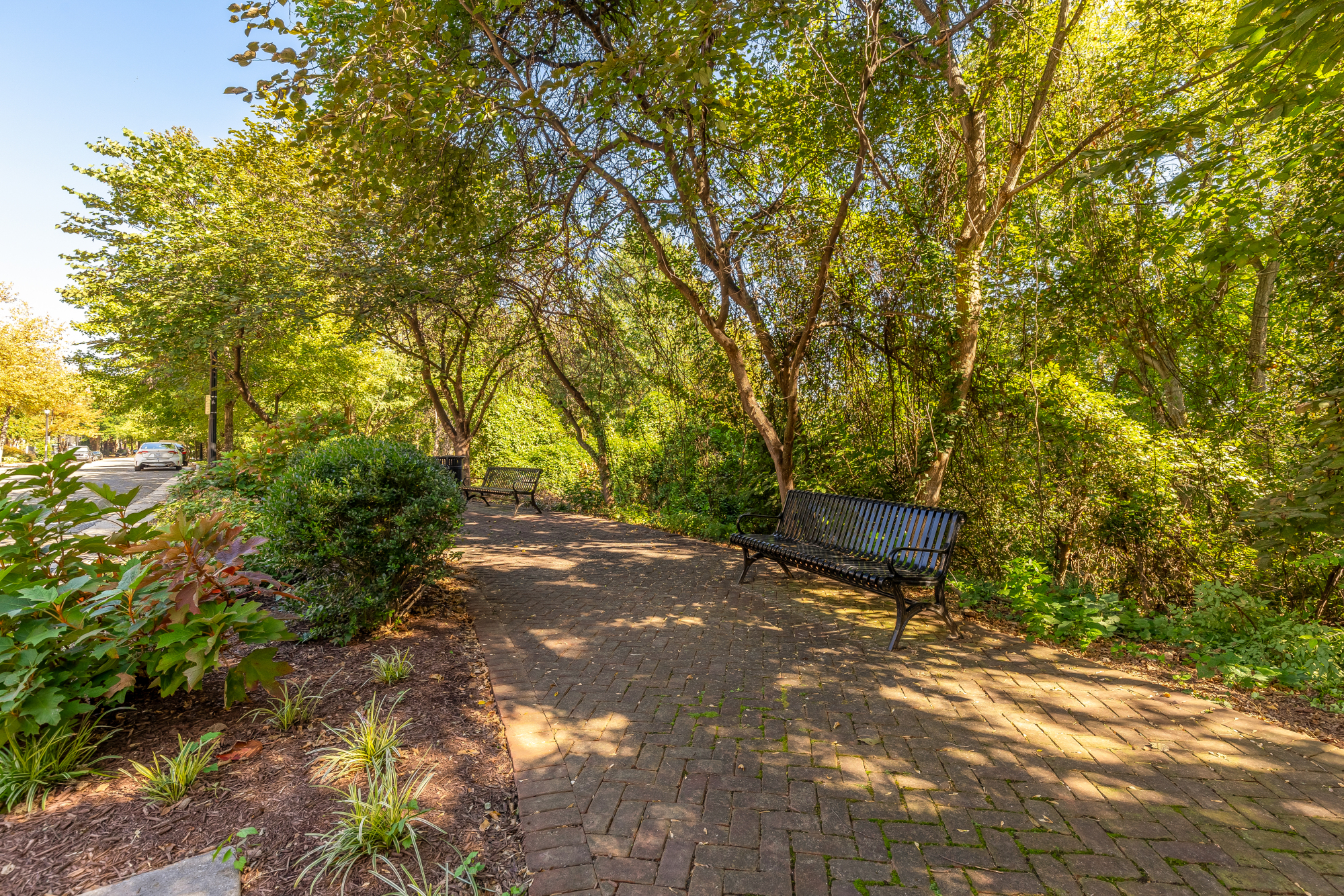 1738 Carpenter Road Alexandria, VA 22314 - Photo 28 of 38 Gallery Image 28