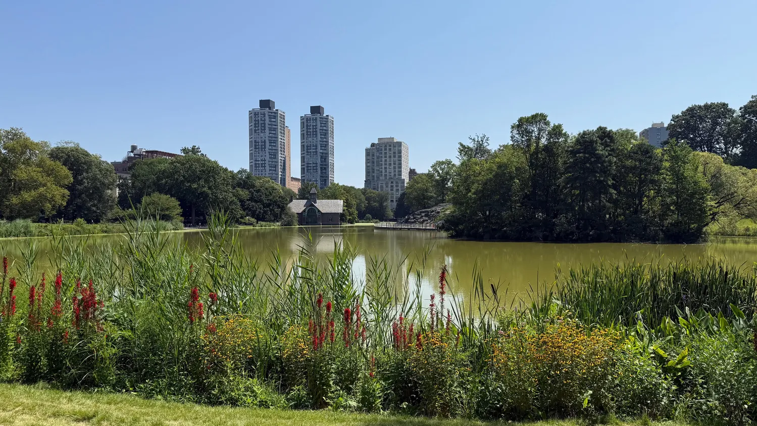 $4,900 | 40 West 116th Street, Unit A811 | Harlem