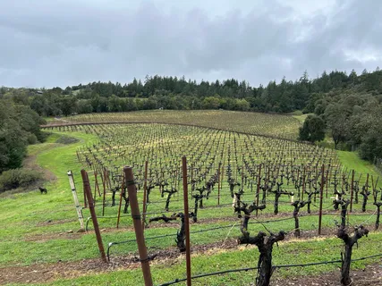 $1,795,000 | 31920 Pine Mountain Road, Cloverdale, CA 95425